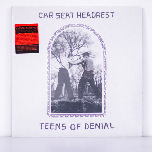 Car Seat Headrest - Teens of Denial Vinyl